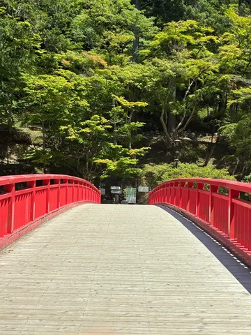 森へ誘う赤い橋