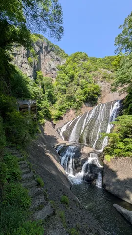 緑に包まれた雄大な滝の眺め