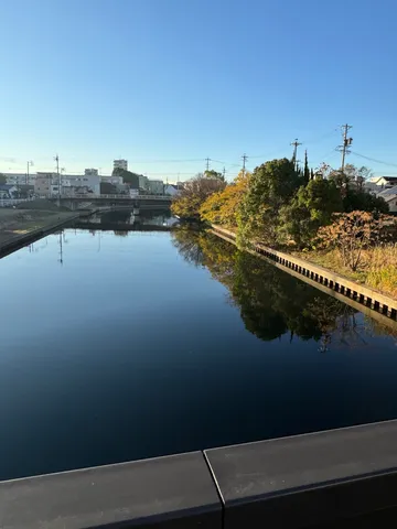 静寂の水面、光の反射