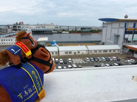 港風景と玩具の対比
