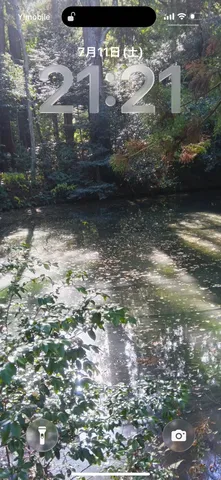 木漏れ日の水面