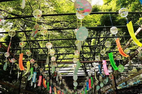 風鈴と新緑の涼やかなトンネル