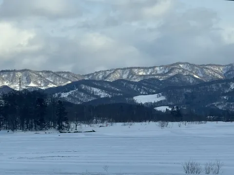 広がる雪原と遠景の山々