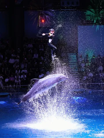水しぶきの空中ショー