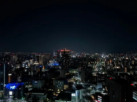 無限に広がる光の海