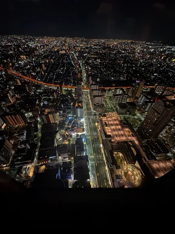 夜を彩る光の絨毯