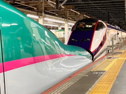 並走する新幹線、未来への旅路