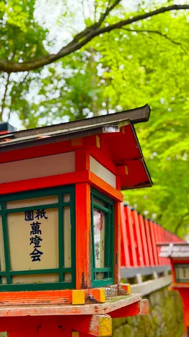 新緑と朱色の灯籠、静寂の参道