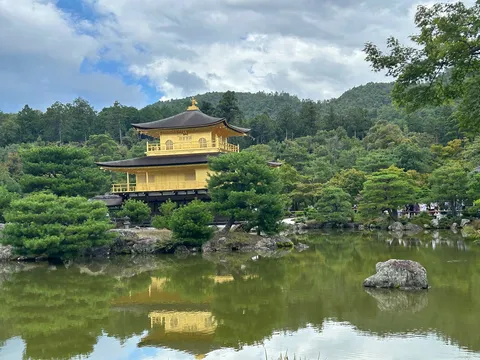 水鏡に映る黄金の輝き
