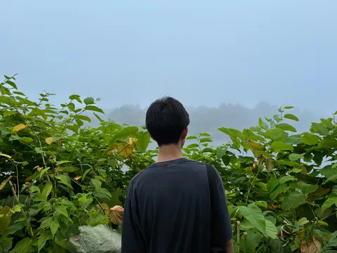霧に包まれた静寂