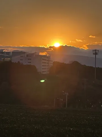 黄昏時のビルと電波塔