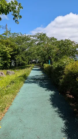 木漏れ日の小道