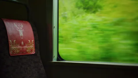 車窓に流れる緑の残像