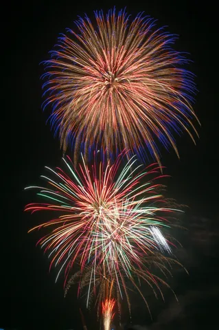 夜空を彩る光の華
