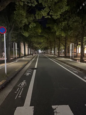 夜の並木道に灯る静寂