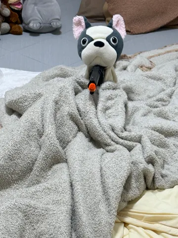 毛布に隠れる？わんこのいたずら