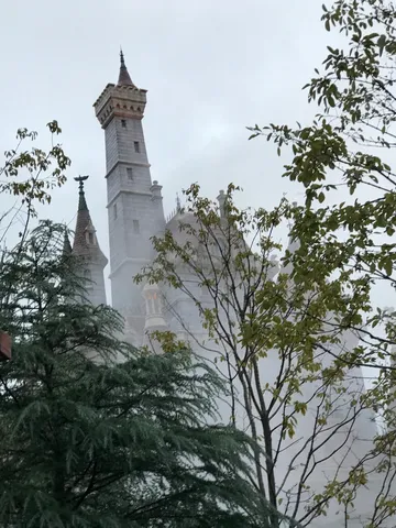 霧の塔と木々の影