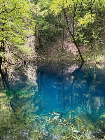 森の奥の青い水鏡