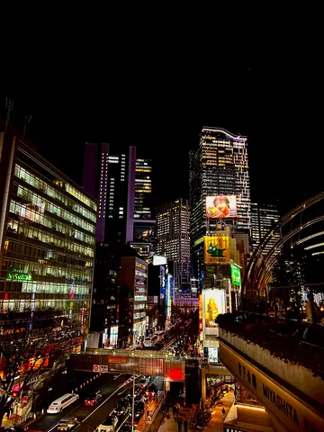 ネオンが踊る摩天楼の夜景