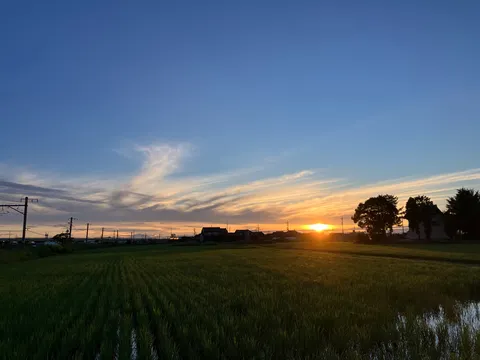 夕暮れの水田と空のコントラスト