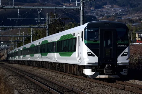 白と緑の流線美！特急列車が駆け抜ける