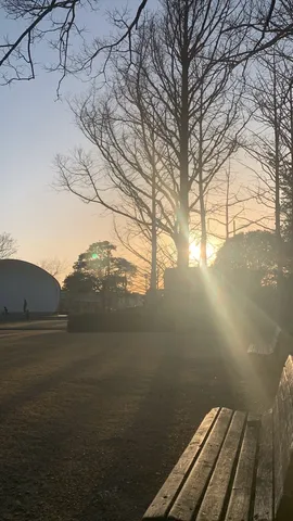 夕暮れの公園、ベンチと木漏れ日
