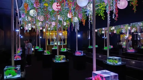 水中花園の幻想的な光景