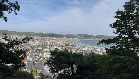 木々の間から広がる景色