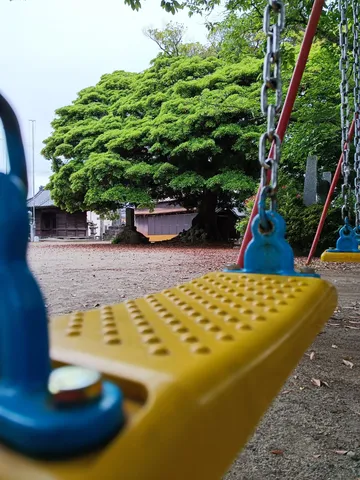 ブランコ越しの緑と静寂