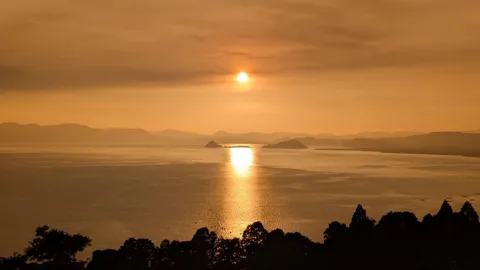 黄金の海と島影のコントラスト
