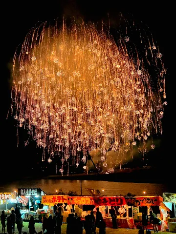 夜空に花咲く祭りの光