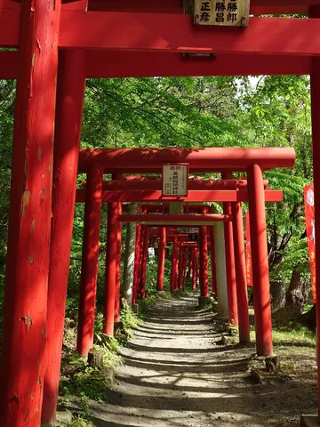 朱色の鳥居が誘う道