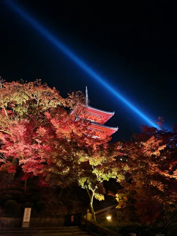 刹那の夜空、紅葉と光の交響曲