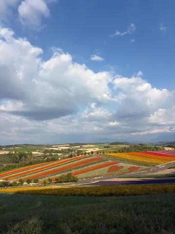 花畑と空の楽園