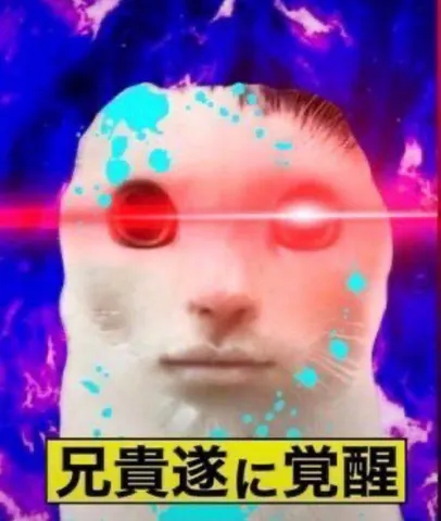 覚醒せし猫の眼光
