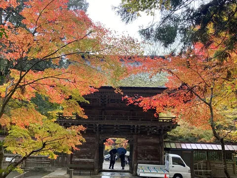 錦秋の門、雨の気配