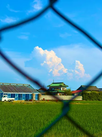 田園の青空と緑の畑