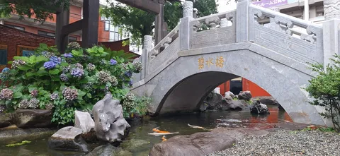 水面に映える鯉と紫陽花の和風庭園
