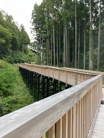 森を貫く木製高架橋