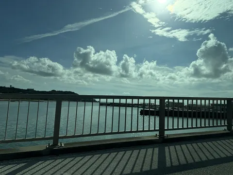光と影が織りなす夏の情景