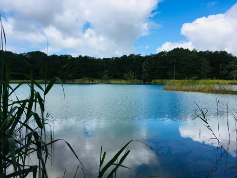 水面に映る夏の静けさ