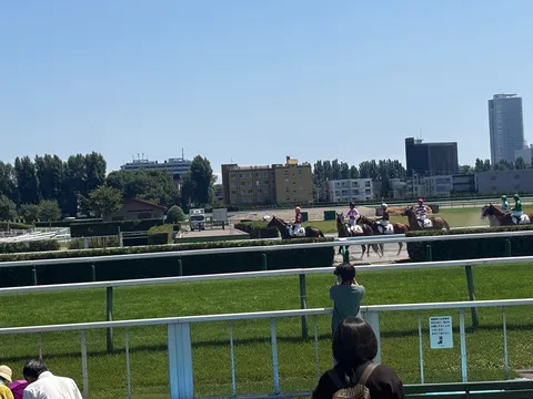夏の競馬場、爽やかな風。