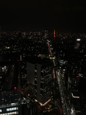 都会の夜、光の川