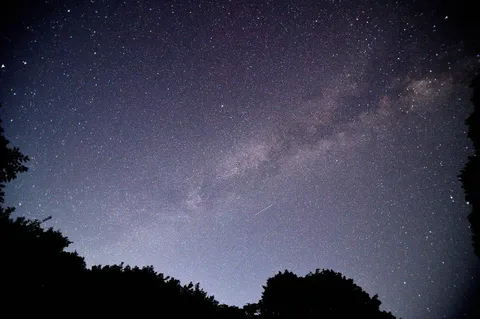 星空に流れ星、見えたかな？