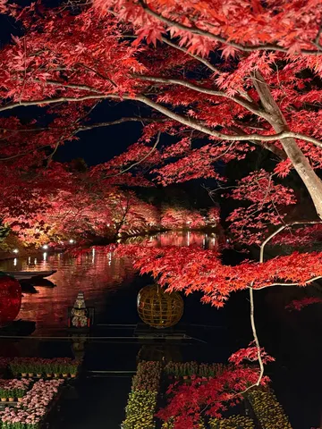 深紅に染まる夜の調べ