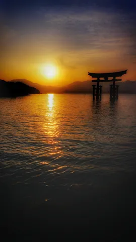 水面に映える夕日の鳥居