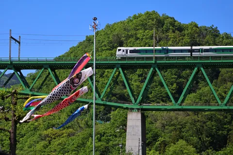 新緑の鉄橋を走る列車と鯉のぼり