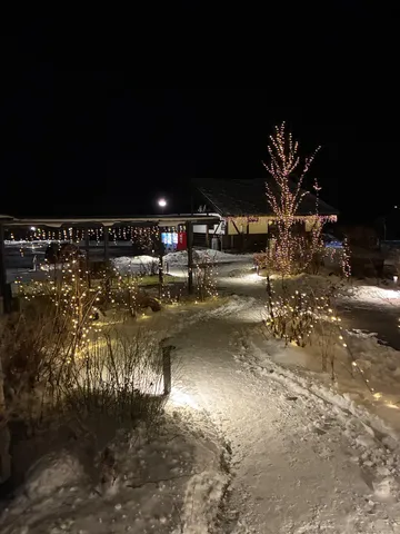 雪夜を彩る温かな光の道