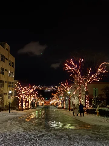 冬の夜、光の華が咲く街