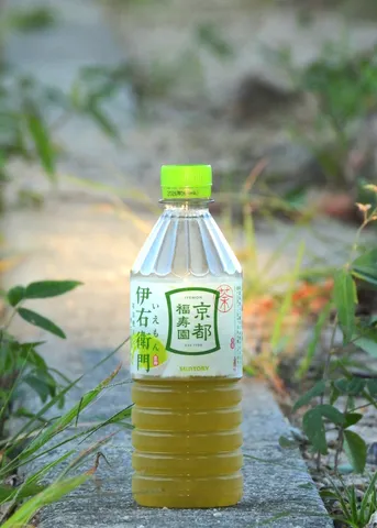瑞々しいお茶と光の瞬間